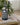 Room and Linen Sprays