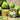 Key Lime 4oz Candle- Lime + Green Leaves + Vanilla