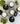 2oz Mini Soy Candle Bulk Quantity